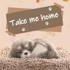 Stuffed Toys Lovely Simulation Animal Labrador/Husky Doll Plush Sleeping Dogs Toy Kids Toy Decorations Birthday Gift Children