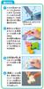 Kumon Publishing Japan Map Puzzle Educational Toy Toy 5 Years Old and Up KUMON (KUMON PUBLISHING) Kumon's PN-33