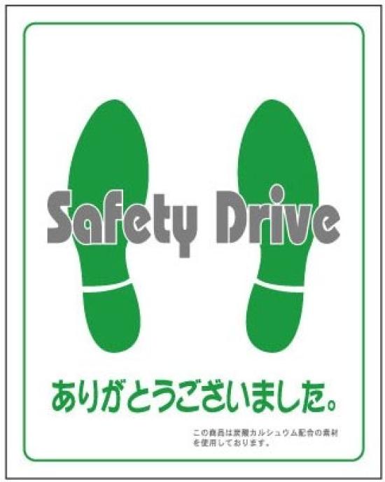 Pitatto Guard 500 Sheets (Foot Mat) R11-B