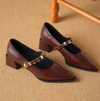 2025 Nouvelles Mary Jane à bout pointu françaises Chaussures simples pour femmes Automne 2025 Nouvelles Escarpins à talon bloc à bouche peu profonde
