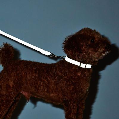 Petio Dog Collar Flash Soft Color S Yellow