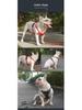 Adjustable Anti-Breakaway Pet Harness and Leash Set for Dogs and Cats