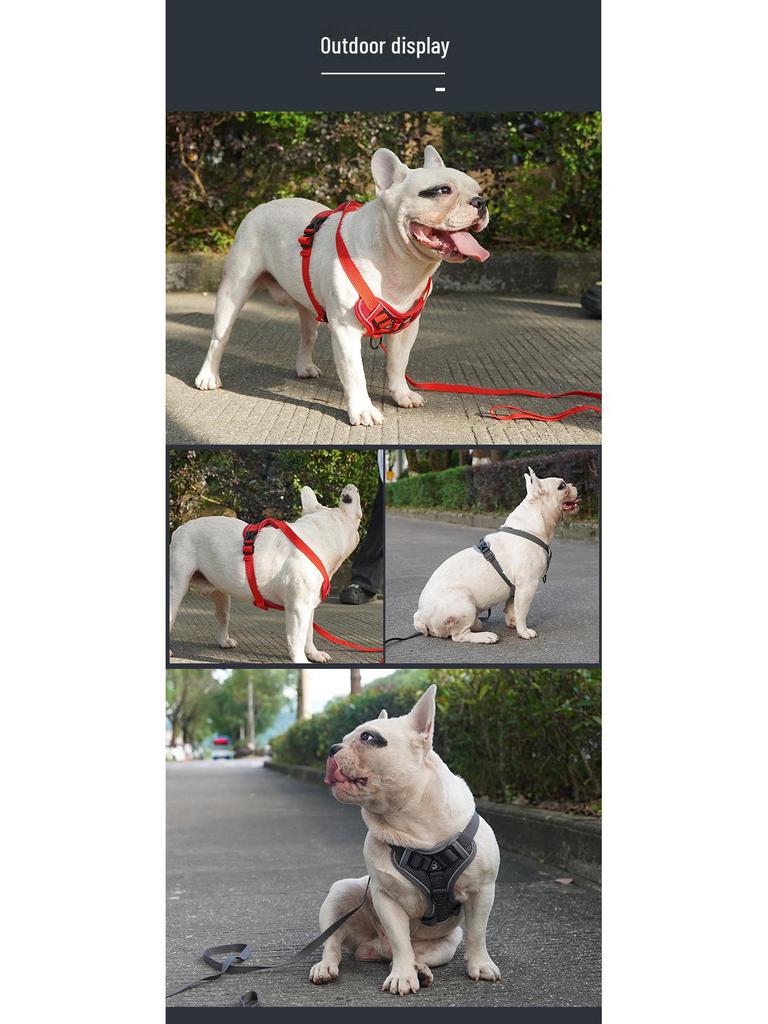Adjustable Anti-Breakaway Pet Harness and Leash Set for Dogs and Cats