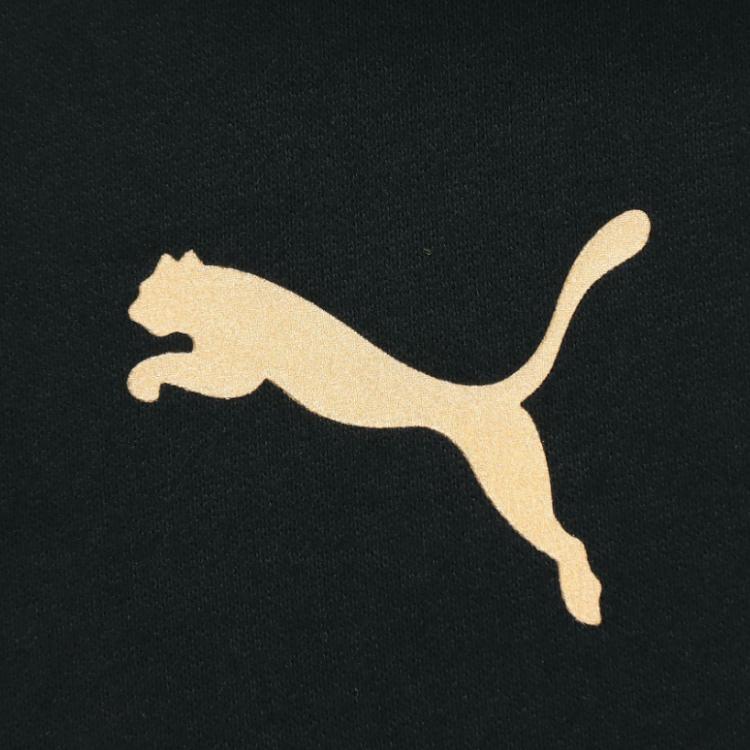 Puma Metallic Foil Print Fleece Hoodie Men Sweatshirt Black 587139-01