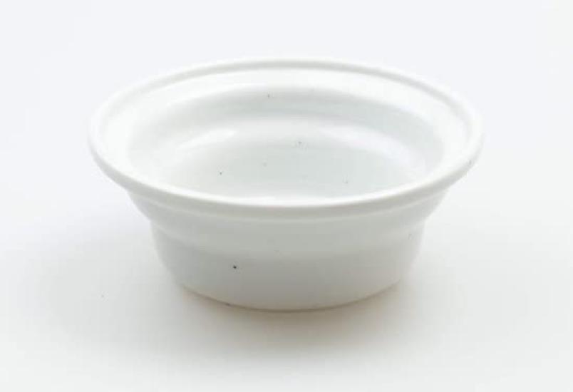 Health Water Bowl Nyan Mug Set of 2 aukatz Cat Water Bowl Cat Dog Pet Ceramic Bowl Plate Bowl (White)