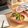 304 Food Grade Stainless Steel Lunch Box Split Compartment Bento Box Reusable for Fruit Salad Meal Work School Use