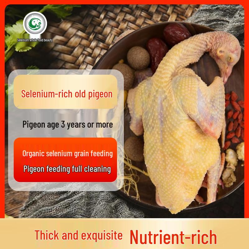 Selenium-Enriched Antibiotic-Free Frozen Old Pigeon