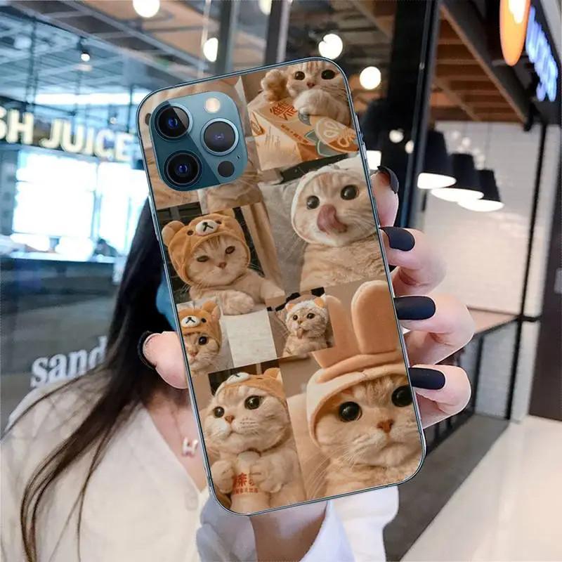 Etui na telefon komórkowy iPhone 15 Mini, urocze etui na telefon komórkowy z motywem kota, malowane, odporne na upadki i chroniące dłoń przed upadkiem.