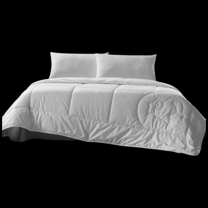 

Mercury Home Textiles Weil Antibacterial Australian Wool Quilt