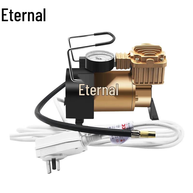 Yongzhi Electric Air Pump