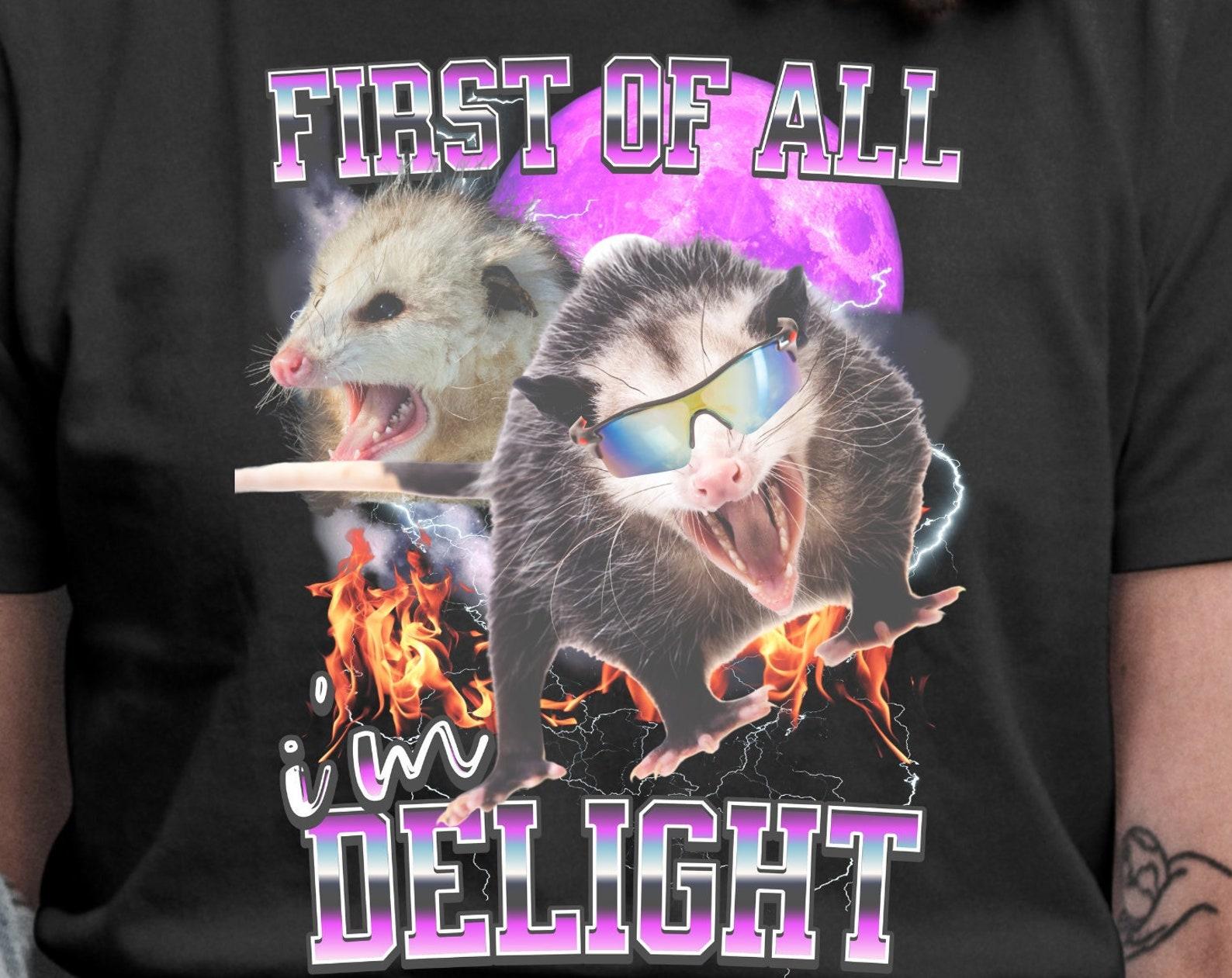 Angry Opossum T-Shirt, Funny Meme Sarcastic Self-Love Shirt 3XL