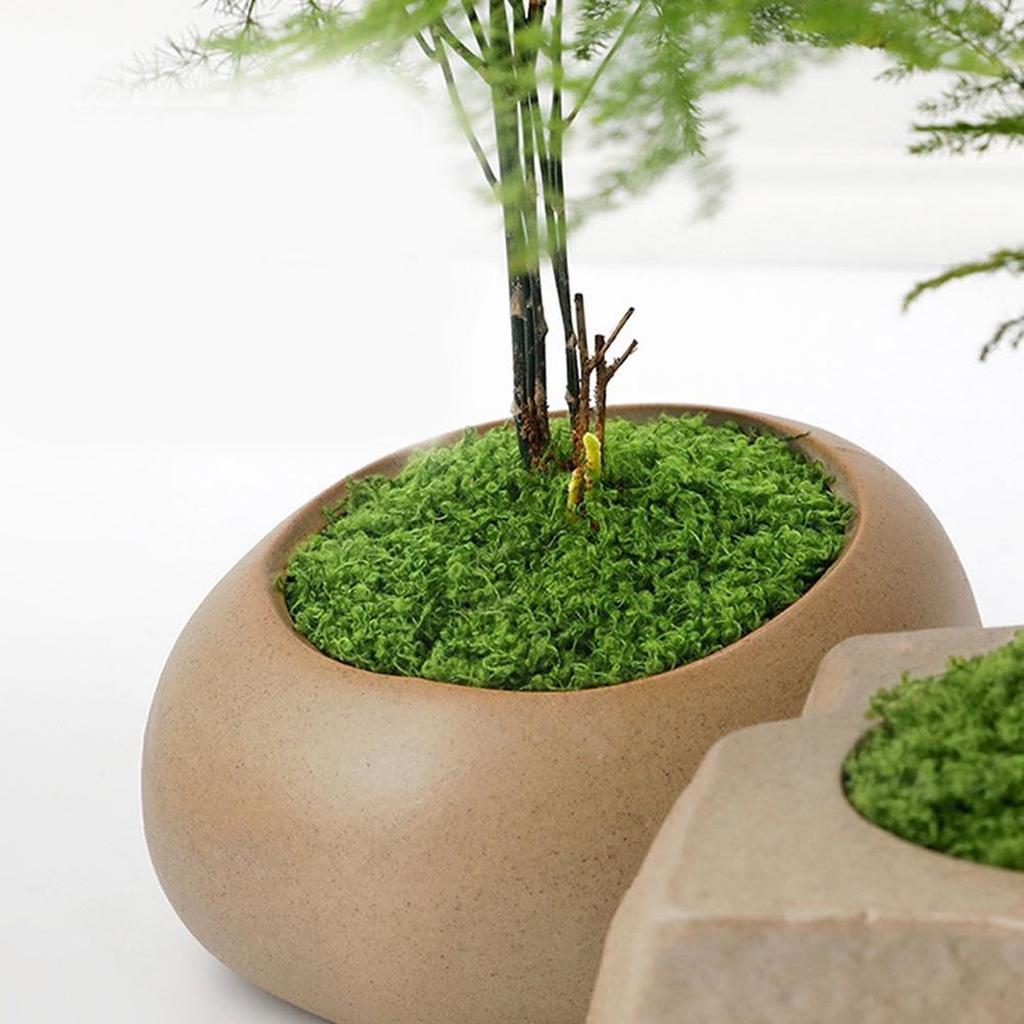 50/200g Artificial Moss For Decorating, Artificial Moss Decoration Moss For Crafts, Art Moss, Fake Decorative Moss For Aquarium