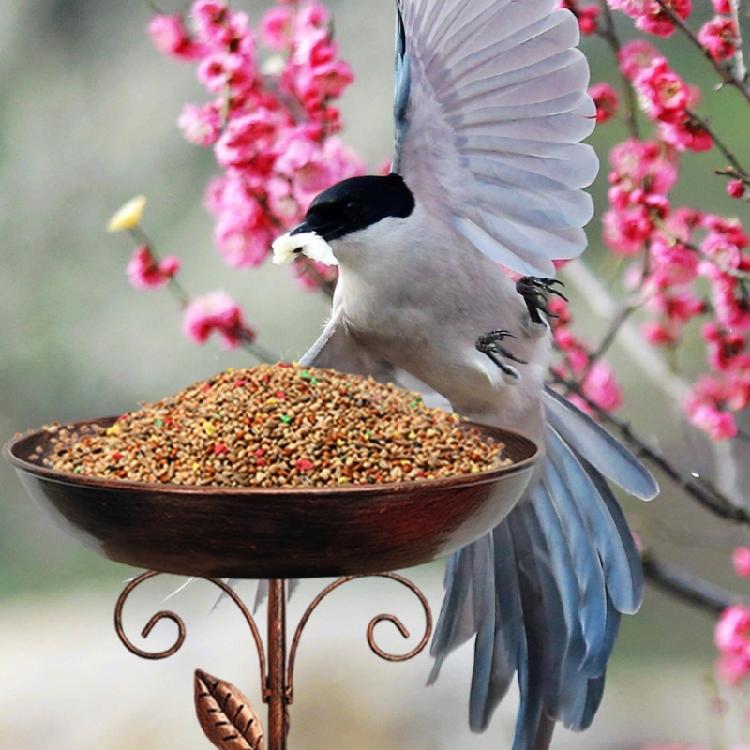 Weatherproof Metal Bird Bath for Patios and Gardens Featuring a Unique Bird and Leaf Design