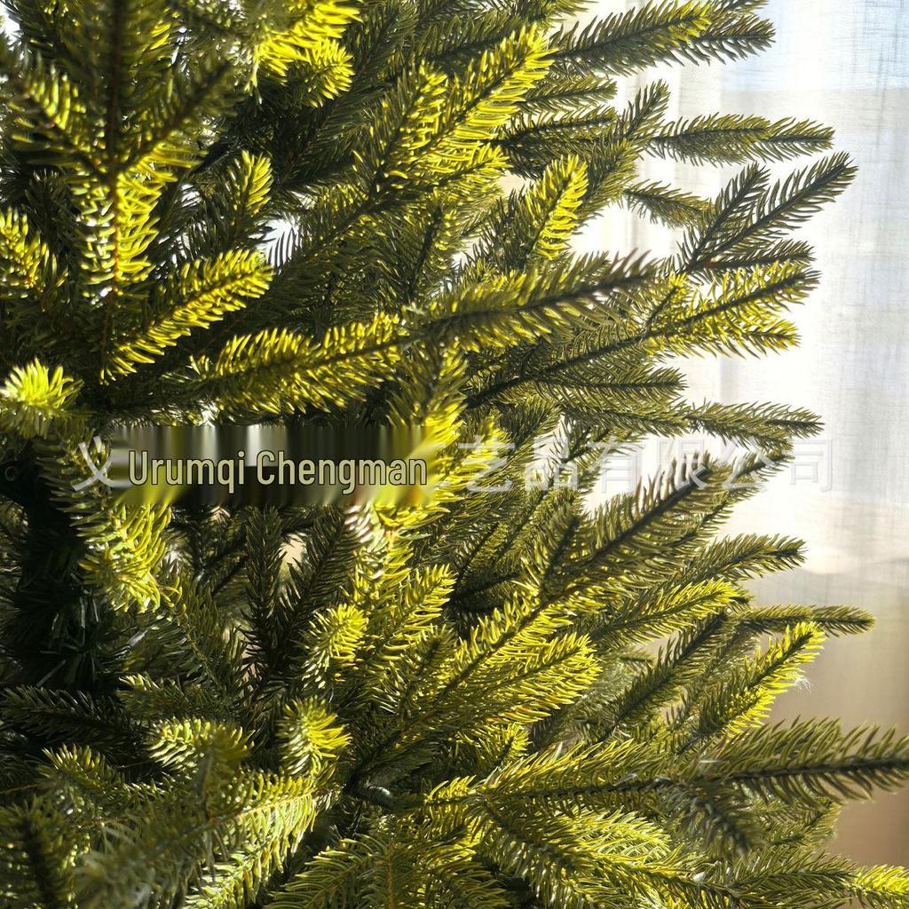 Green PE Christmas Tree, 1.2-2.4m for Home and Hotel Decoration
