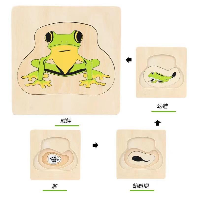 Children's Early Education Characters Body Organ Structure Cognitive Puzzle Brain Multi-Layer Development Wooden Toys
