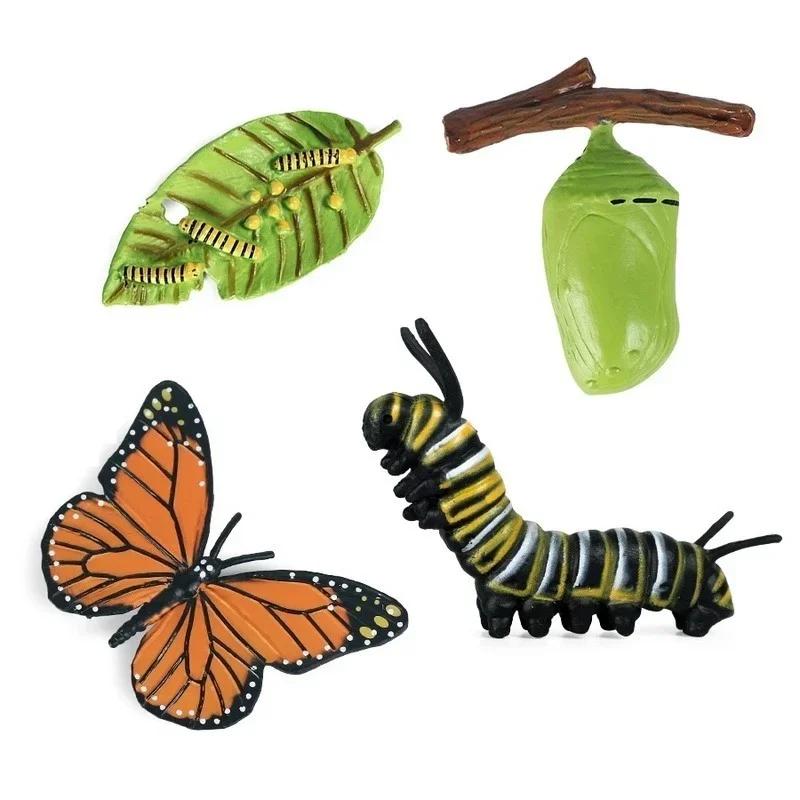 New Creative Childrens Cognitive Education Toy Simulation Animal Insect Model Mini Animal Butterfly Growth Cycle Ornaments
