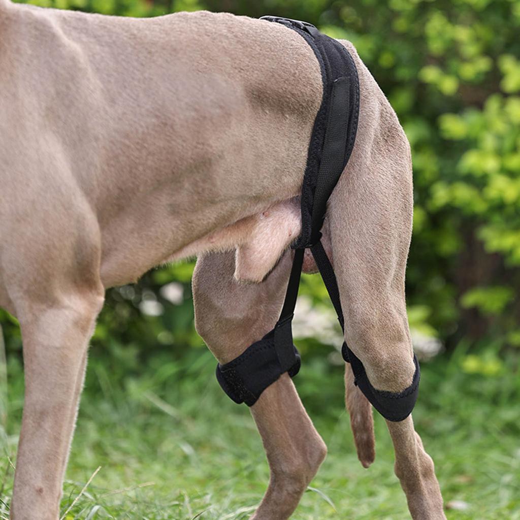Senior Dog Leg Brace Carry Sling for Back Leg Adjustable Lift Harness for Long Trip Injuries Dog Joint Recovery Device