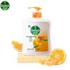 Dettol Natural Fresh Hand Wash 500g