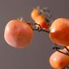 Artificial Persimmon Branch Lifelike Bendable Simulation Persimmon Branch for Home Decoration Saffron