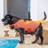 Haustier Hund Sommer Badeanzug Niedlichen Cartoon Stil Reflektierende Schwimmweste