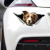 Brown and White Border Collie Car Stickers, Waterproof Pvc Animal Decals With 3D Effect, Block Scratches and Increase Fun Auto Parts