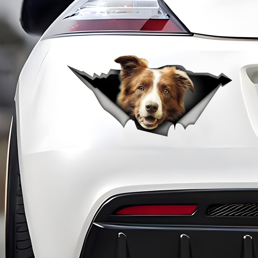Brown and White Border Collie Car Stickers, Waterproof Pvc Animal Decals With 3D Effect, Block Scratches and Increase Fun Auto Parts