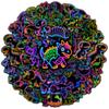 10/30/50pcs Cute Funny Neon Dinosaur Cartoon Graffiti Stickers DIY Laptop Notebook Water Bottle Diary Decoration Sticker Decals