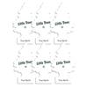 Little Trees Little Tree Air Freshener Air Freshener True North
