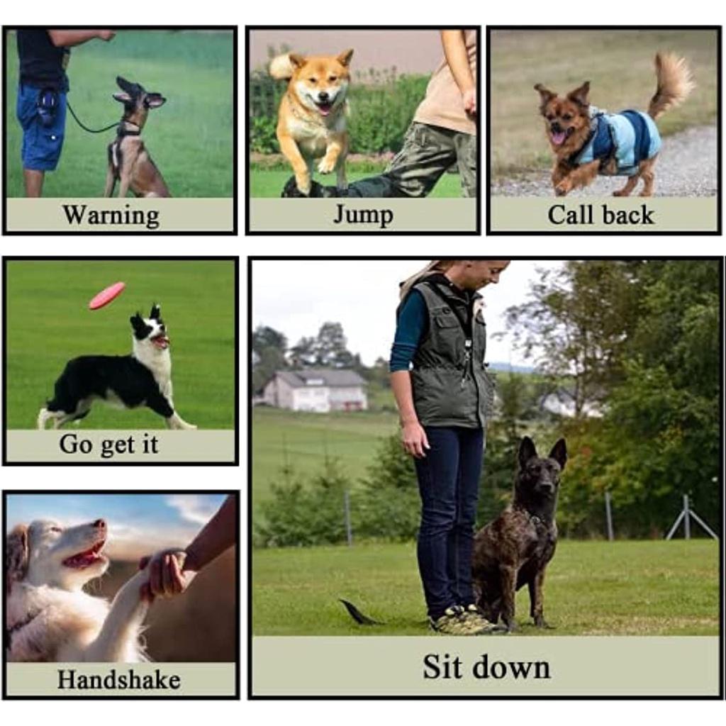 2 Professionelle Ultraschall-Hochfrequenz-Silence Anti-Boilage Long Range Anti-Soilt Einstellbare Ultraschallpfeife