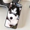 Tier Husky Welpe Hülle Für Samsung Galaxy M20 M21 M23 M31 M11 M54 M14 M34 M13 M52 M32 M12 M16 M36 M56 M15 M55