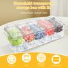Large Ice Chilled Condiment Caddy with 5 Divider Removable Transparent Fruit Salad Snack Tray Platter Bar Accessories