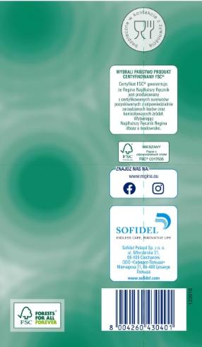 Regina Paper Towel 2 Pcs