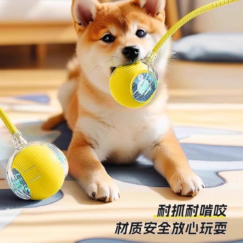 Automatic Smart Electric Bouncing Ball Bite Resistant Interactive Pet Toy For Dogs
