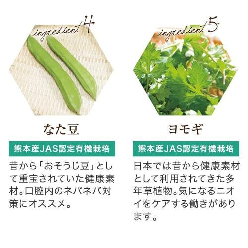 Yazuya Group Kyushu Nature Center Dental Green Propolis 100g (Approx. 1 month supply)