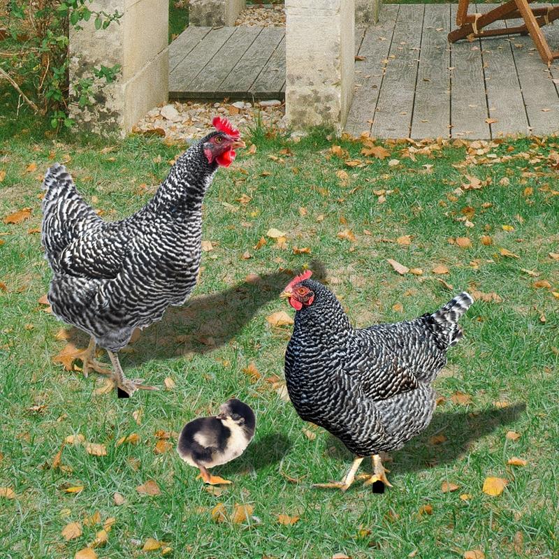 Chicken Garden Stakes Ornaments Rooster Hen Lawn Insert Signs Outdoor Decoration Animal Sculpture Statue Yard Signs