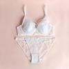 French Embroidered Sexy Lace Bunny Ears Underwear Set Breathable Large Breasts Small Gathered Bra for Women