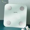 BEAR Smart Body Fat Scale (CN Version)