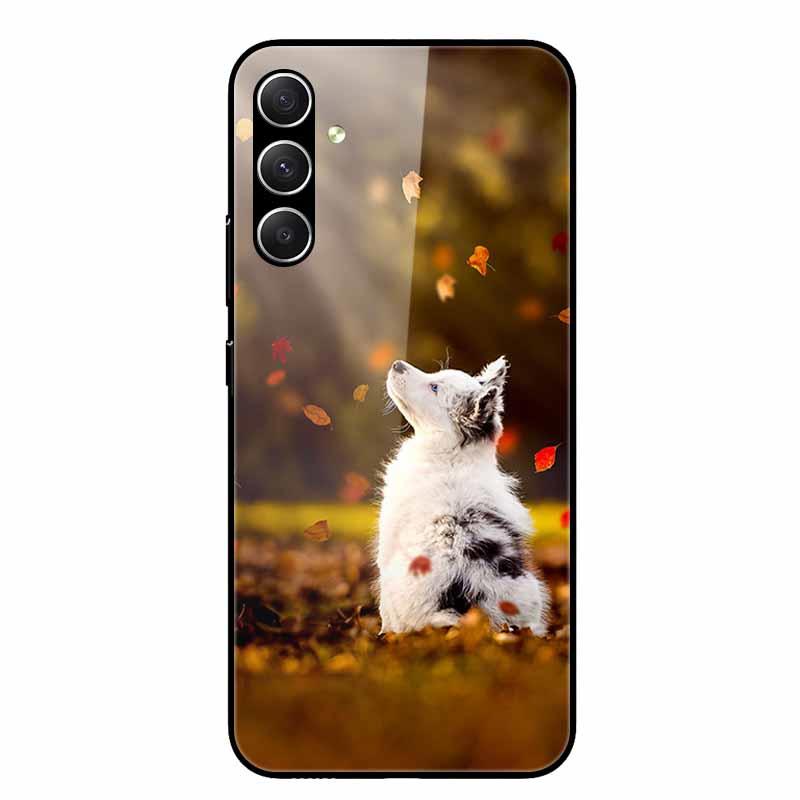 

For Samsung Galaxy A16 5G Case Silicon Bumper Tempered Glass Phone Cases for Galaxy A16 4G A 16 Hard Shell Back Covers Fashion Galaxy A16 4G