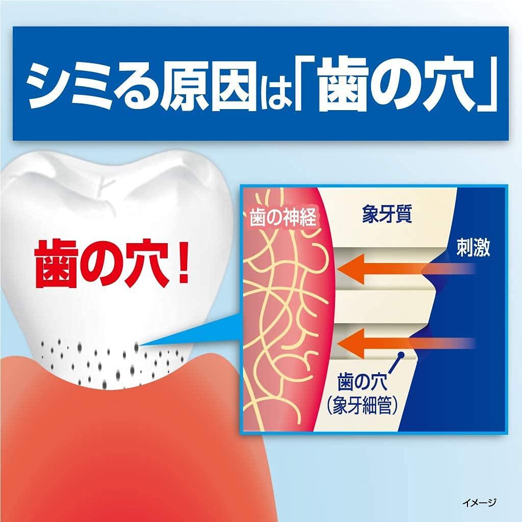Haumel Sensitive Teeth Care Medicated Toothpaste 100g x 2 Fills holes in teeth Kobayashi Pharmaceutical [Quasi-drug]