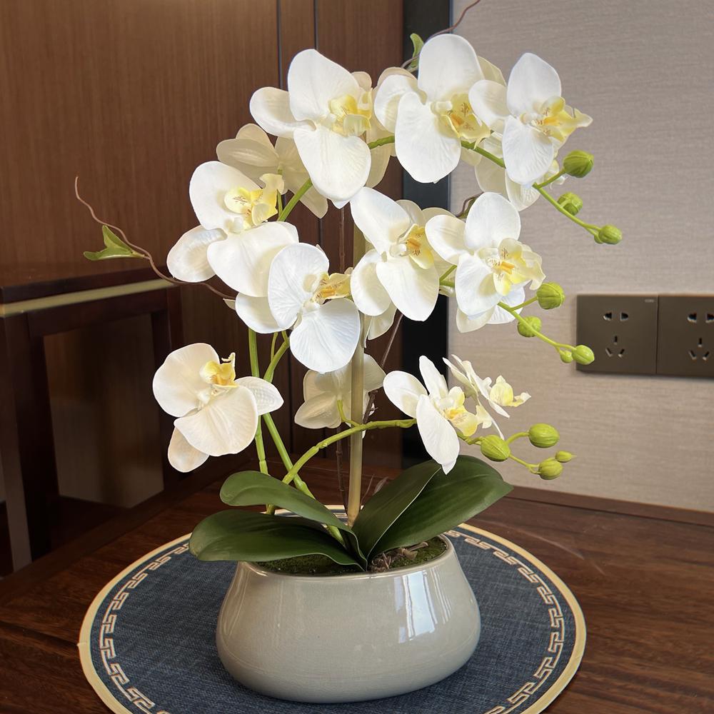 Flori Artificiale Phalaenopsis în Vas Ceramic - Ideal pentru Decorarea Sufrageriei sau a Mesei de Dining