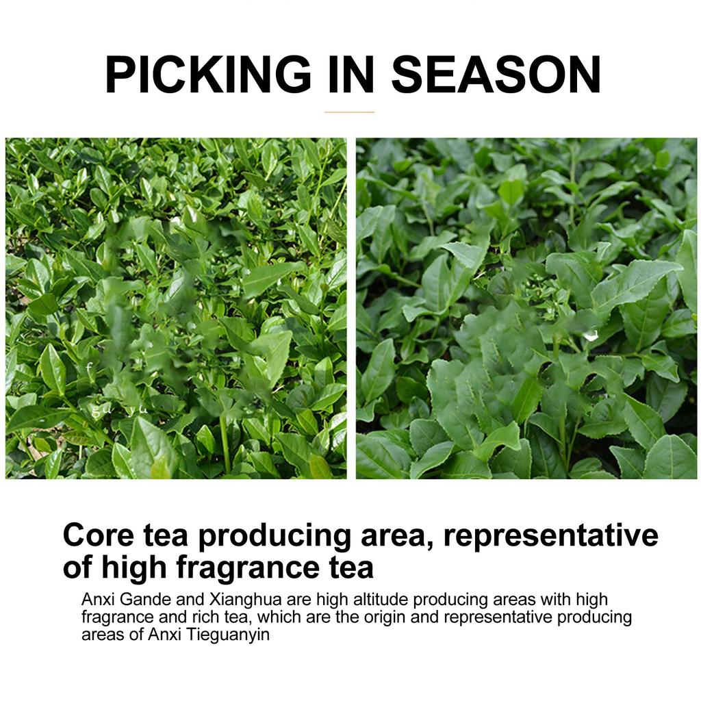 Tie Guan Yin Tea Leaves Cold Brewing Oolong Tea Orchid Fragrance Tieguanyin Oolong Tea for Morning Tea Party