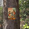 RusticCatCraft Metal Tin Wall Art Dancing Cats Hand Painted Home Decor