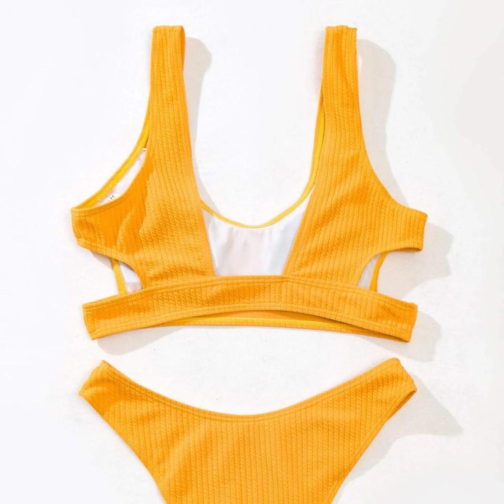 European-American Two-Piece Bikini: Women's Sexy Solid Color Swimsuit with Special Fabric