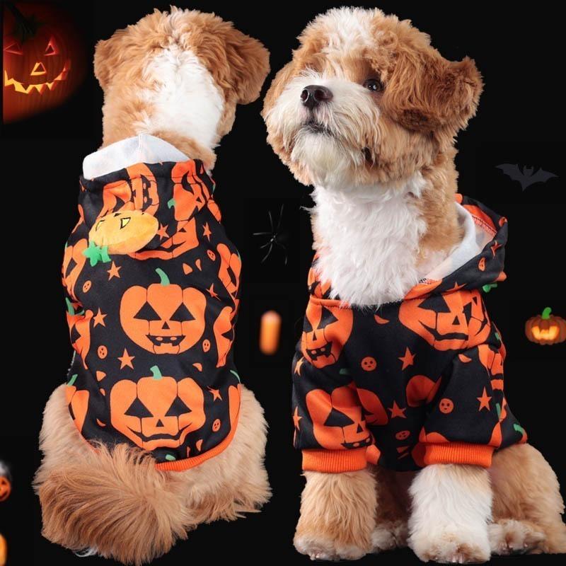 Pet Dog Cat Clothes Cute Pumpkin Two Legs Hooded Sweatshirt Breathable Elasticity Medium Small Cats Dogs Pet Supplies Halloween