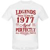 Vintage 1977 Funny Oversized T-shirt Boyfriend Men's Clothing Husband Fashion Cotton Tshirt Streetwear Summer Fitness T Shirt