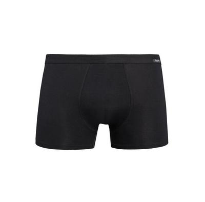 Teyli Levi Boxers