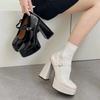 Fashion Ultra High Heels Women Shoes French Style Thick Heel Leather Single Shoes Mary Jane Shoes High Heels Platform Shoe Women's Pumps