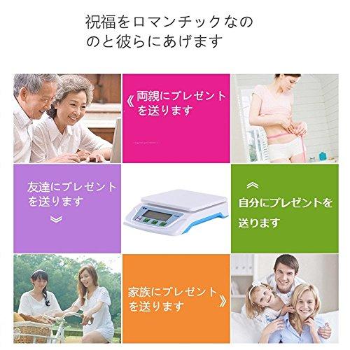 Digital scale, weighs from 0.5g to 10kg, tare function, digital scale, digital platform scale