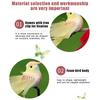 Simulated Long-Tailed Feather Bird Figurine Model Set Artificial Birds Ornament Colorful Feathered Home Garden Decoration