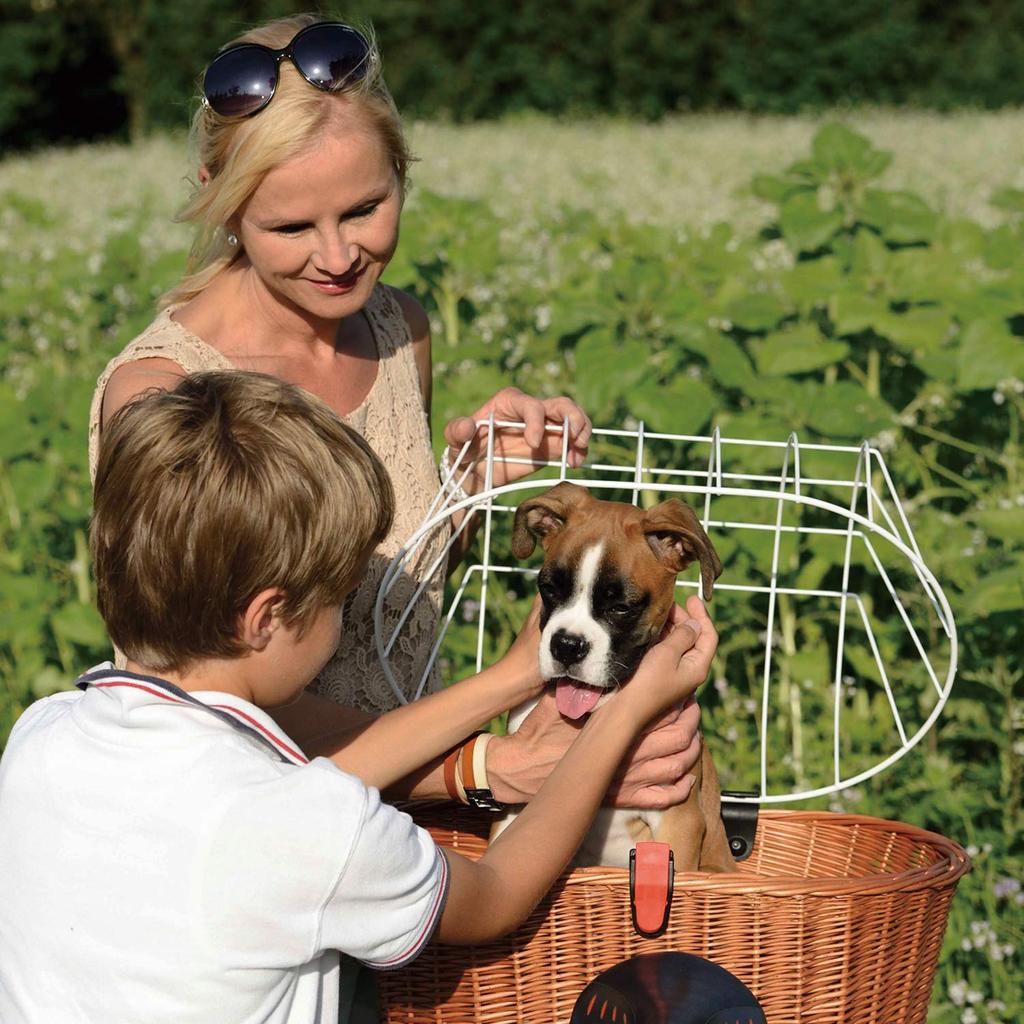 Doggy Basket Pet Carrier Dog Rattan Basket FA825 FA825 RIXEN&KAUL (Rixen & Kaul) [Genuine Product] (KorbKlip)